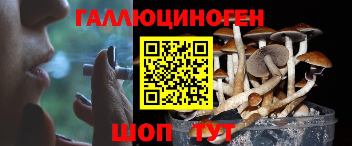 Галлюциногенные грибы Cubensis Камышин